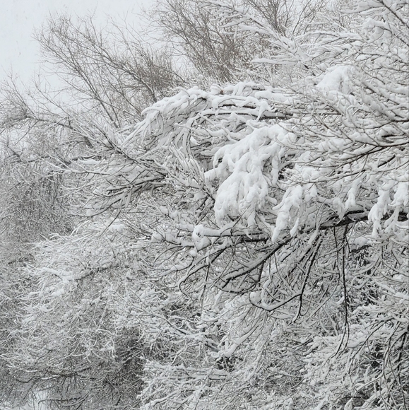 Meet your Posher, Sophia - Picture 5 of 5